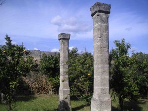 aranceto-columns-300x225